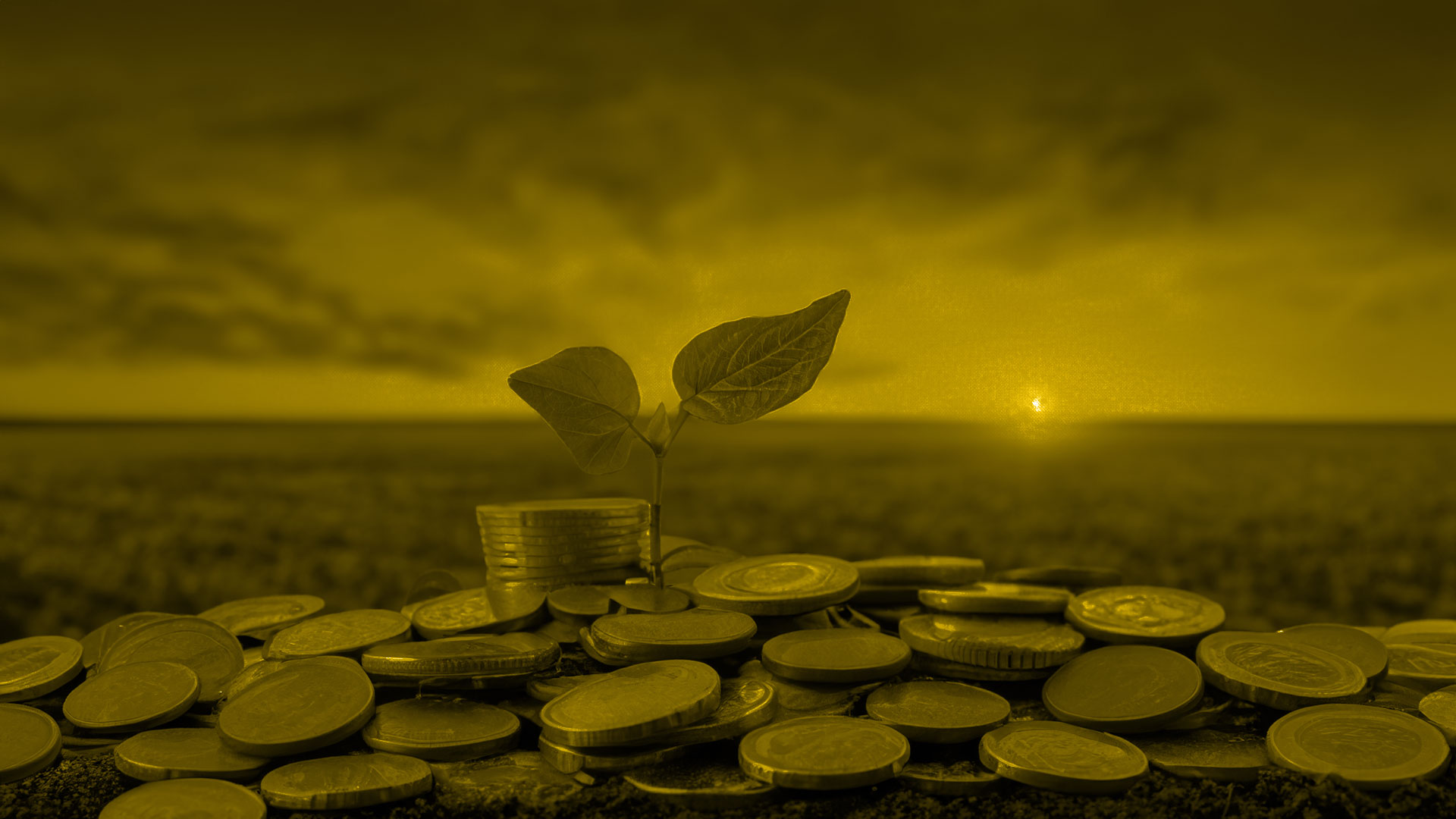 slider-jubilacion-pinadark